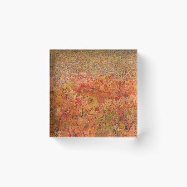 Item preview, Chintz. designed and sold by Paul Pasco.