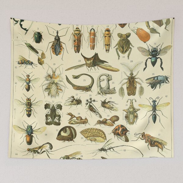 Item preview, Insects illustration designed and sold by Leeanne Mackay.