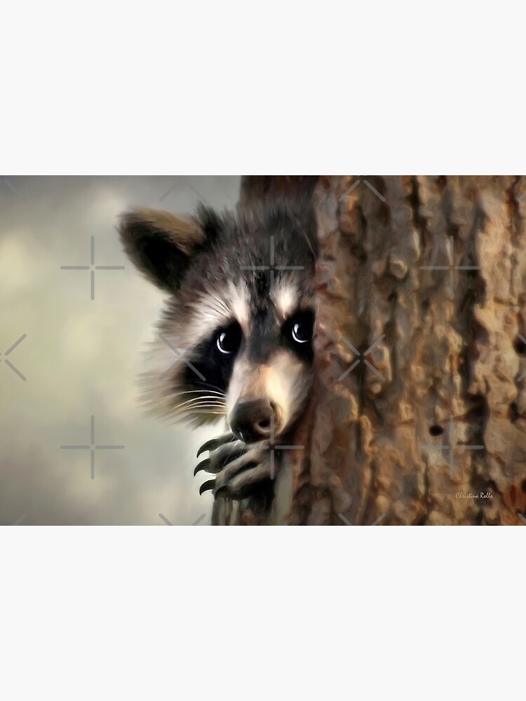Bandit (Raccoon)