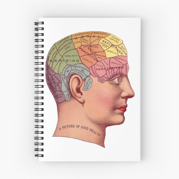 Item preview, Phrenology Head designed and sold by Phantastique Boutique.