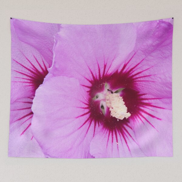 Aperçu de l'œuvre fleur d'hibiscus créée et vendue par TessAndre.
