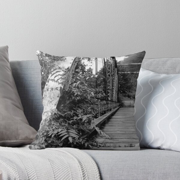 Item preview, Sutton, WV: Crossing Over 2 designed and sold by ACImaging.