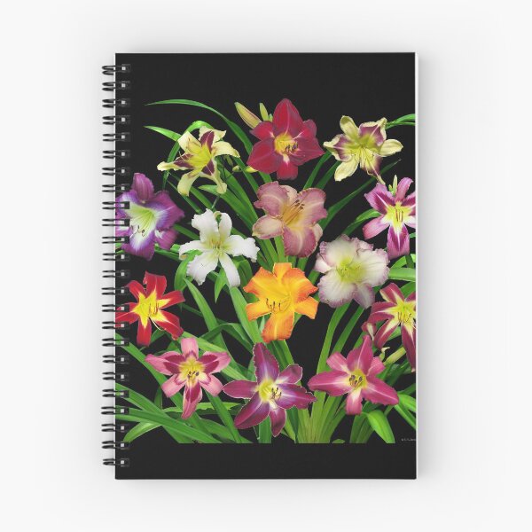 Item preview, Display of Daylilies II designed and sold by rvjames.