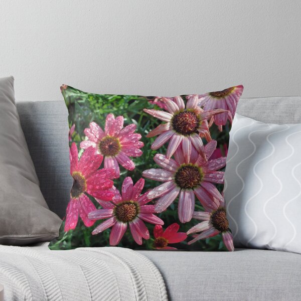 Item preview, Pink Asters designed and sold by The Rage Garden.
