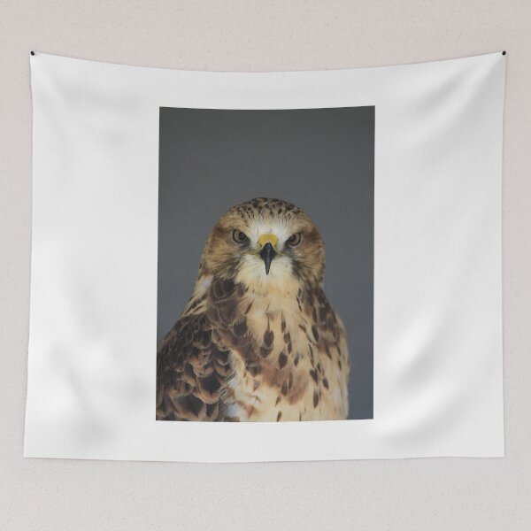 Item preview, Swainson's Hawk designed and sold by Alyce Taylor.