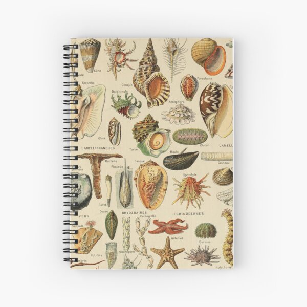 Sealife et coquillage illustration Cahier à spirale