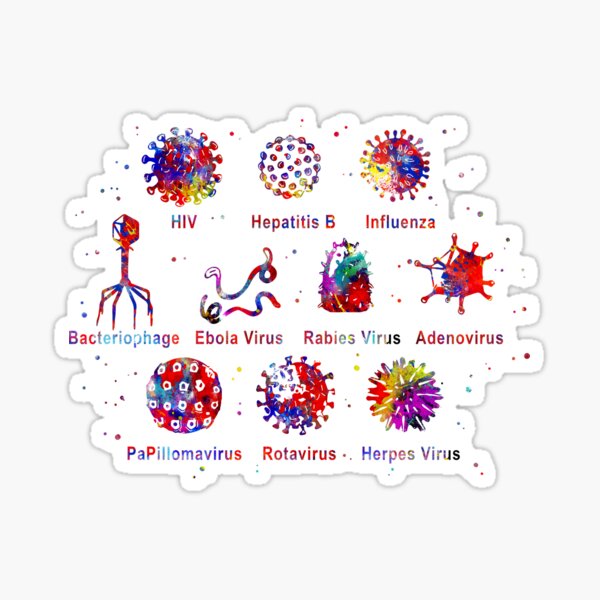 Item preview, Diagram showing different kinds of viruses designed and sold by Rosaliartbook.