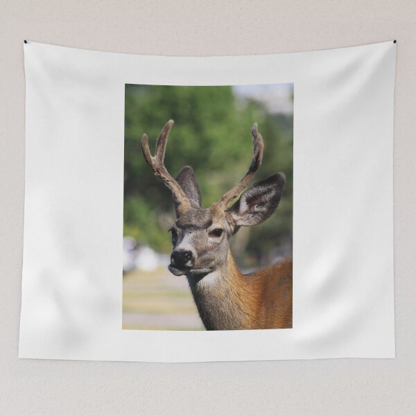 Item preview, Velvet designed and sold by Alyce Taylor.