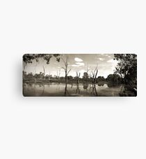 Wetlands Canvas Print