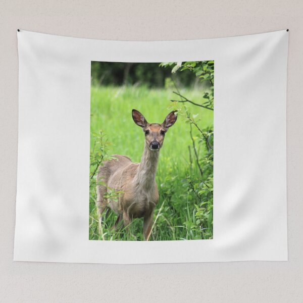 Item preview, Innocent Fawn designed and sold by Alyce Taylor.