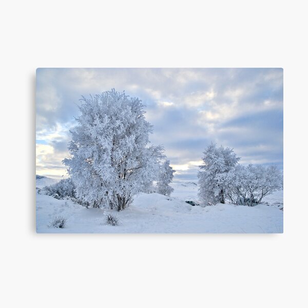 Winter Wonderland, Glencoe Canvas Print