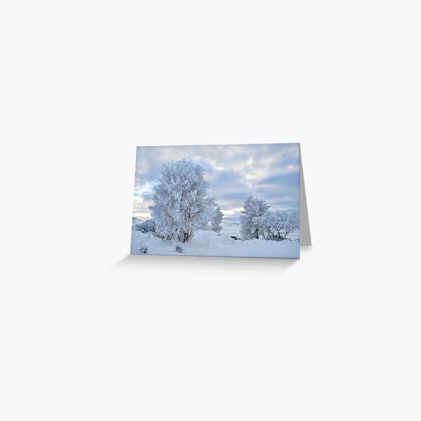 Winter Wonderland, Glencoe Greeting Card