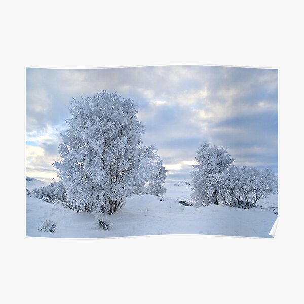 Winter Wonderland, Glencoe Poster