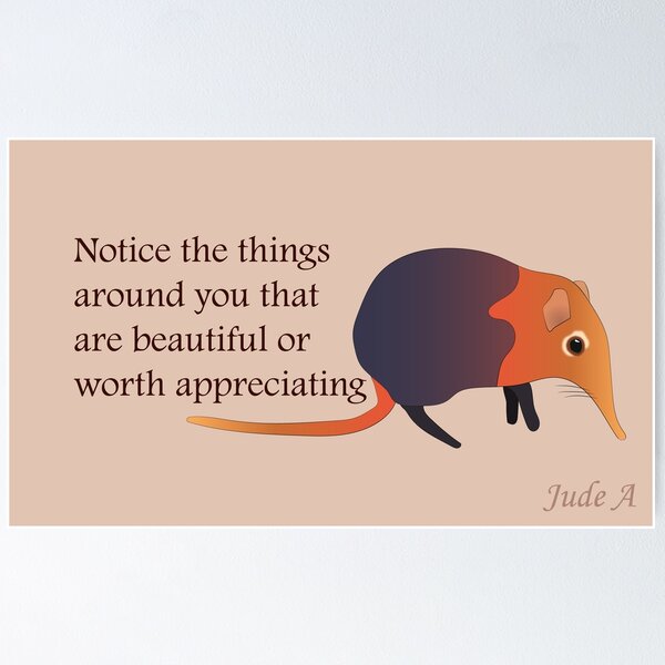Item preview, Notice Elephant Shrew designed and sold by Jude-A.