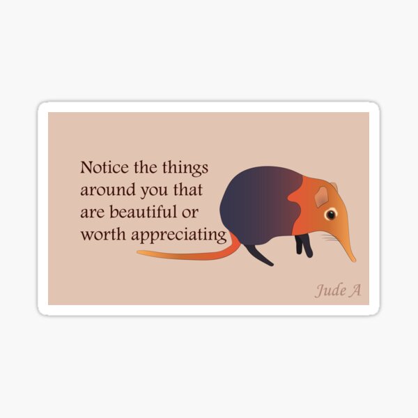 Item preview, Notice Elephant Shrew designed and sold by Jude-A.