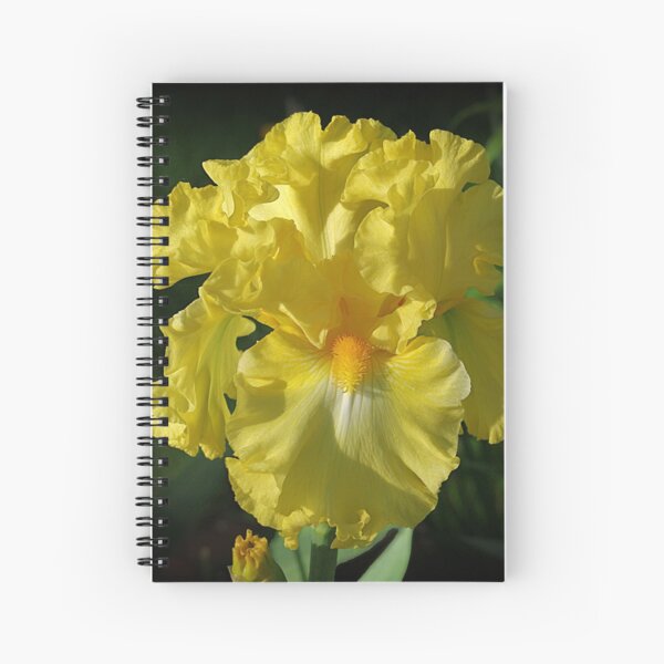 Golden Iris flower Spiral Notebook