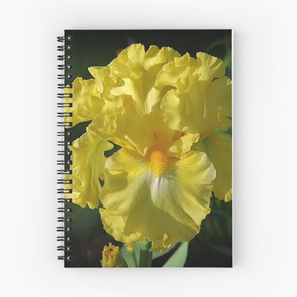 Item preview, Golden Iris flower designed and sold by rvjames.