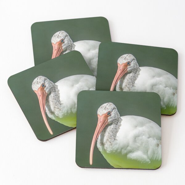 Item preview, Close up of a black and white Ibis 3 designed and sold by KensLensDesigns.