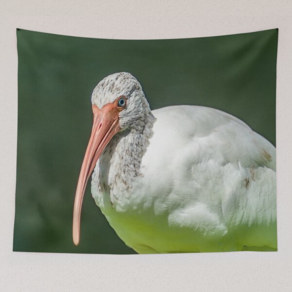 Item preview, Close up of a black and white Ibis 3 designed and sold by KensLensDesigns.