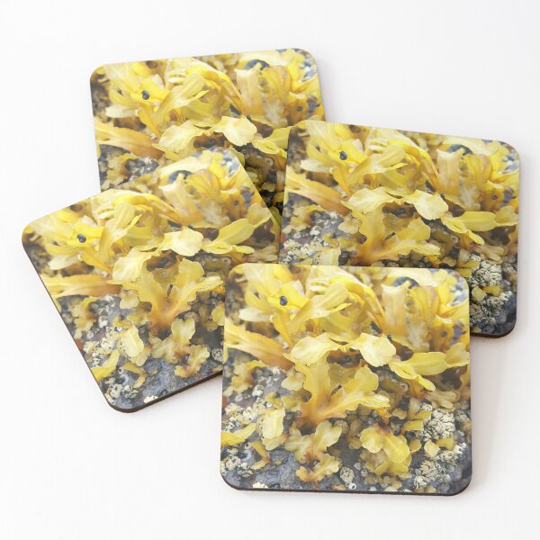 Item preview, Low Tide Algie  designed and sold by Krystal  Thomas.