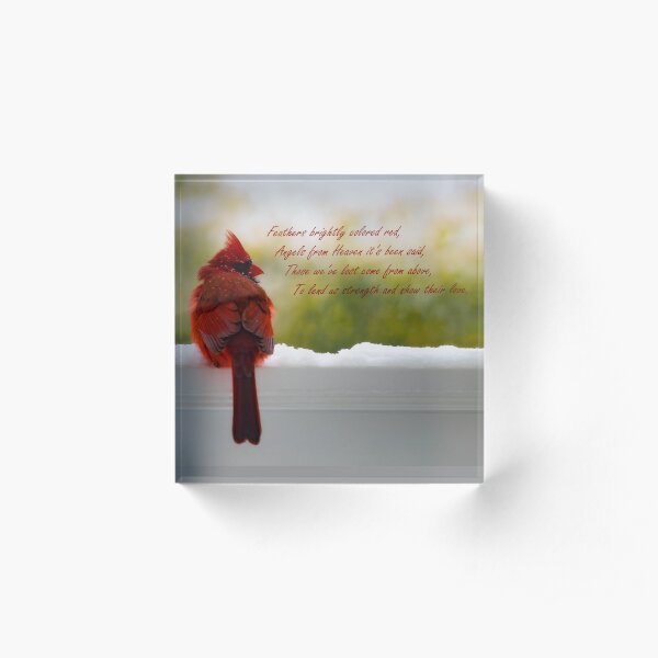Male Cardinal - Visitor From Heaven quote Acrylic Block