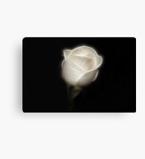 Winter White Canvas Print