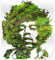Póster Jimi