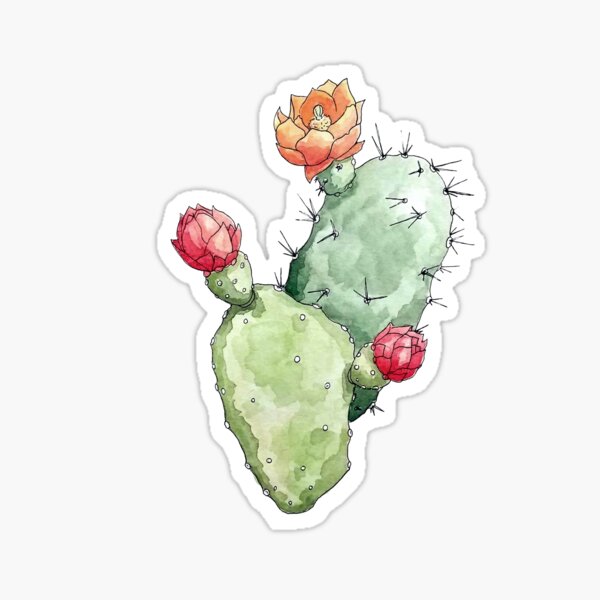 A Vintage Cactus Illustration Sticker