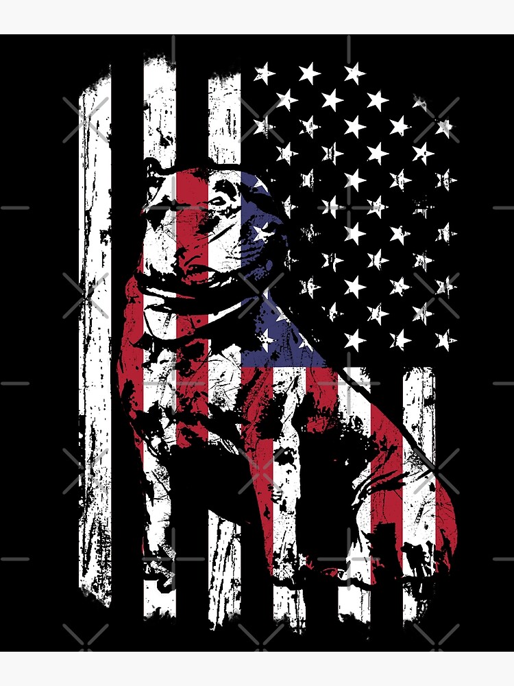 Disover American Bully Pitbull Flag Perfect Pitbull Lover gift Premium Matte Vertical Poster