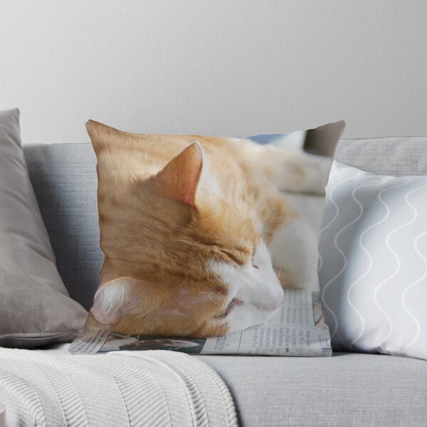 Item preview, Nappy News designed and sold by Carolyn Clark.