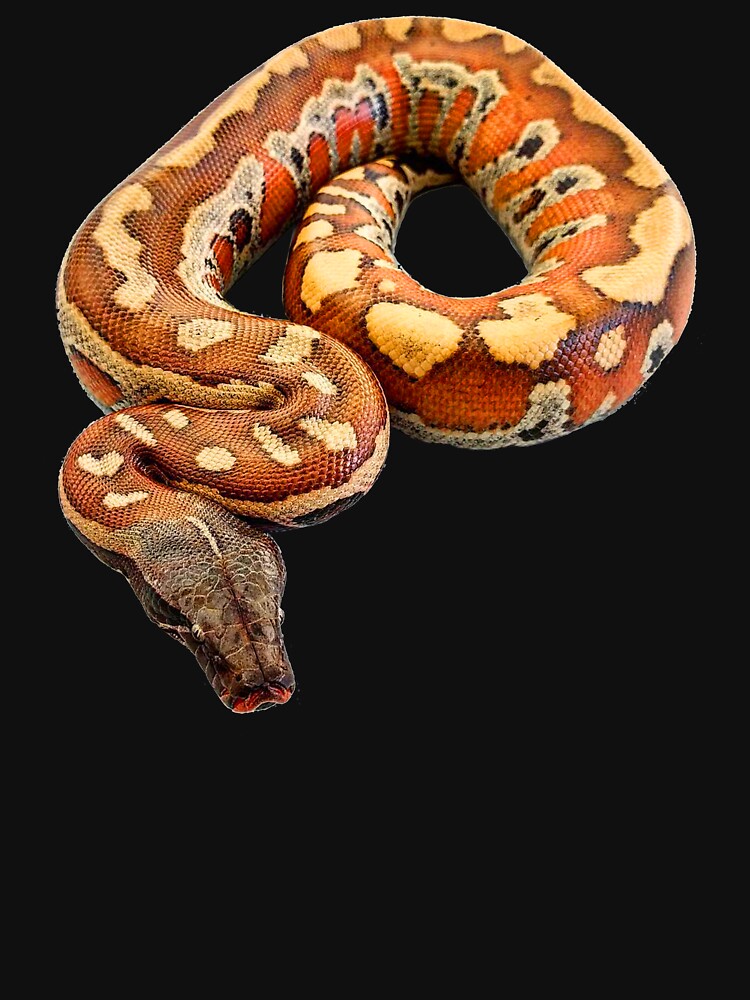 Red Blood Python T-Shirt - Beautiful Snake Red Blood Python T-Shirt - Beautiful Snake