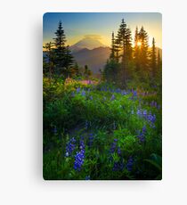 Mount Rainier Sunburst Canvas Print