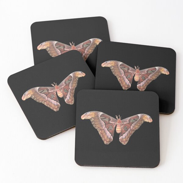Item preview, Malaysian Snakehead Moth designed and sold by jacquihmyart.