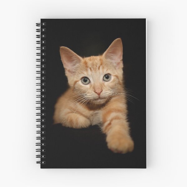 Item preview, Mr Pusskins designed and sold by Gary Brookshaw.