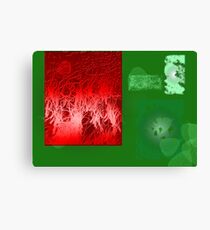 selected Canvas Print