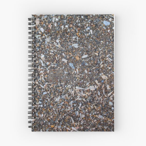 Item preview, Tiny and large sea shell and rocks texture background designed and sold by Maor Winetrob.