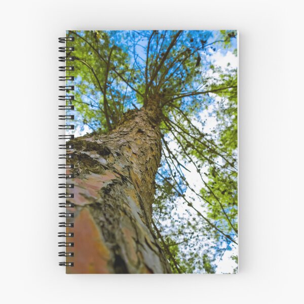 Item preview, Tree from below designed and sold by Maor Winetrob.