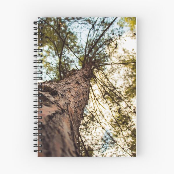 Item preview, Tree from below designed and sold by Maor Winetrob.