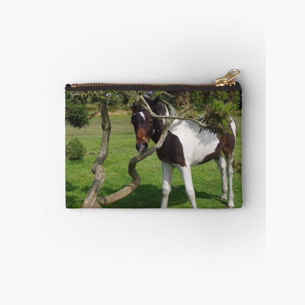 Item preview, Bodmin Moor Pony Foal designed and sold by lezvee.