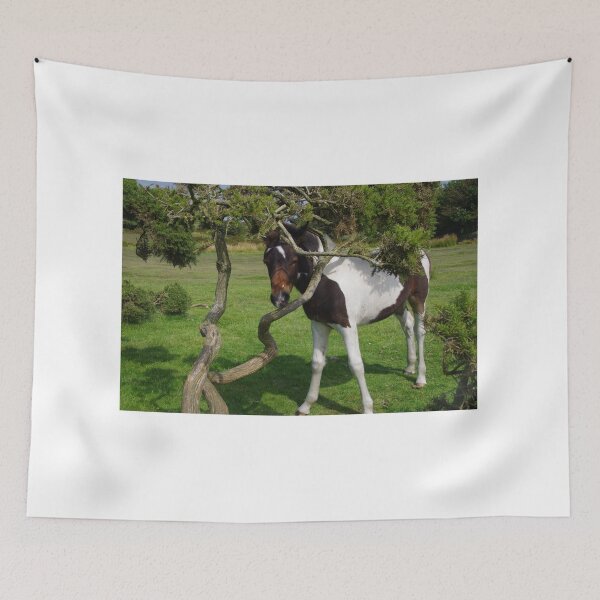 Item preview, Bodmin Moor Pony Foal designed and sold by lezvee.