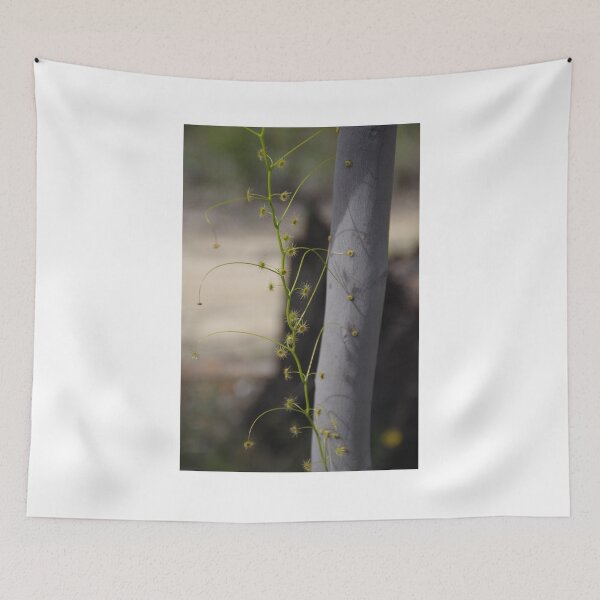 Item preview, Drosera, Green Sundew designed and sold by lezvee.