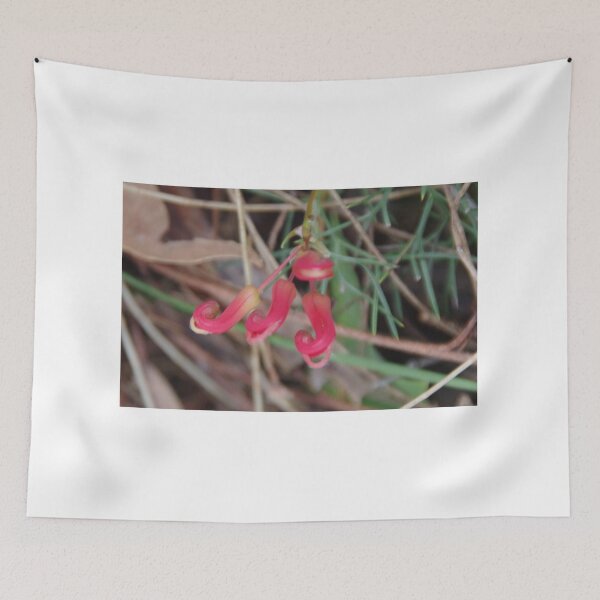 Item preview, Wilson's Grevillea designed and sold by lezvee.