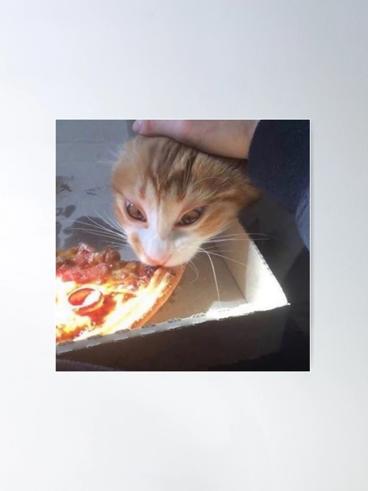 Sad pizza hot sale cat