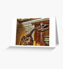 American Museum of Natural History Greeting Card
