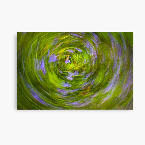 bluebell vortex Canvas Print