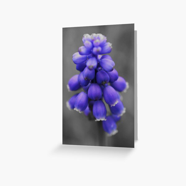 Just blue Greeting Card