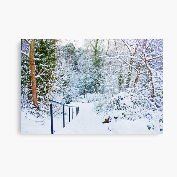 Steps in the Snow Metal Print