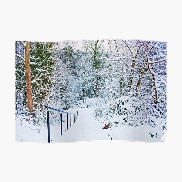 Steps in the Snow Poster