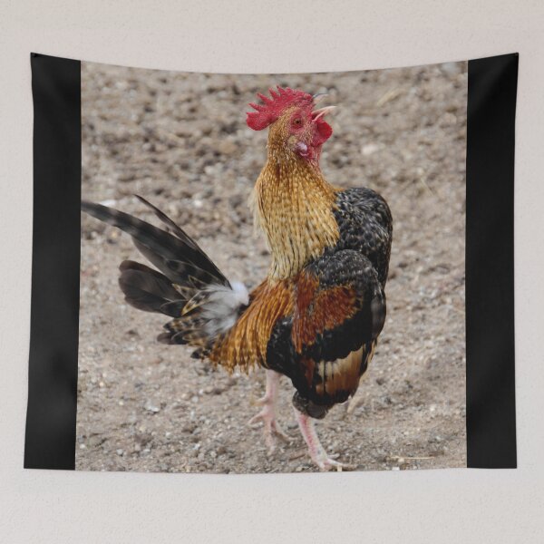 Item preview, Cock-A-Doodle-Doo!  designed and sold by heatherfriedman.