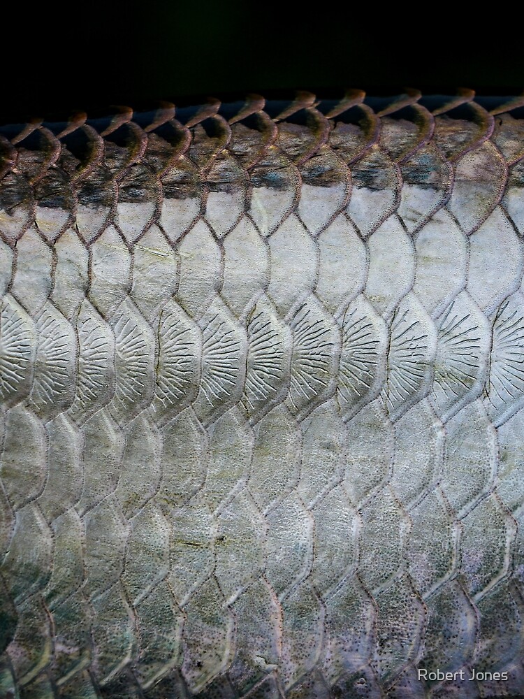 &ldquo;Tarpon Scales&rdquo; T-shirt for Sale by jonesing | Redbubble | tarpon